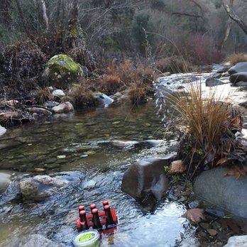 Ponderosa Campground - 41 Photos & 28 Reviews - Hiking - Los Padres