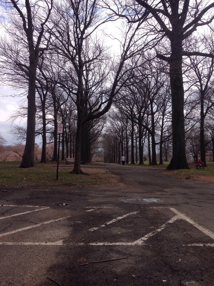 Warinanco Ice Rink 12 Photos Skating Rinks 114 Acme St, Roselle