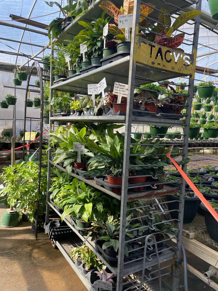 New Hope Greenhouses and Garden Center