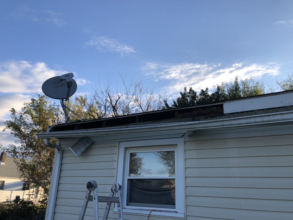 image of business Johnson