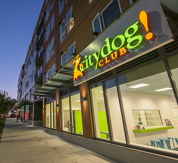 Citydog! Club 31 Photos & 90 Reviews Pet Sitting 1400 NW Market St, Ballard, Seattle, WA