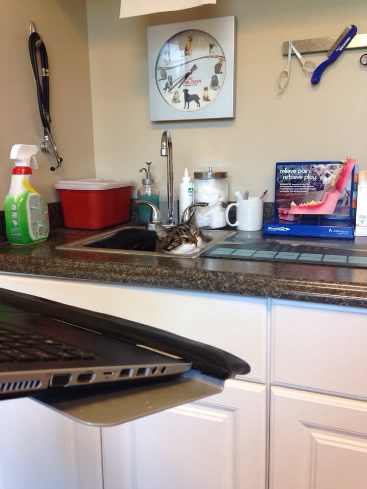 Grady Animal Hospital 26 Reviews Veterinarians 465 N Main St