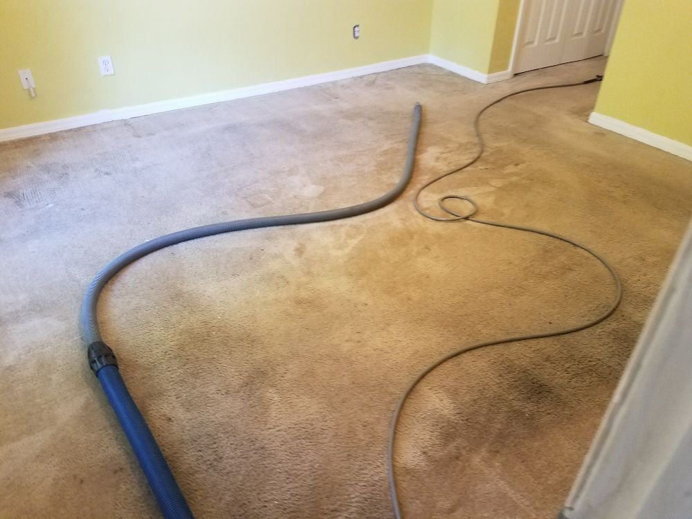 DK Custom Carpet & Floor Care