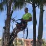 Bens Palm & Tree Service