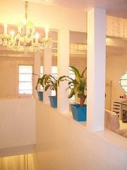 Splendid Little Salon