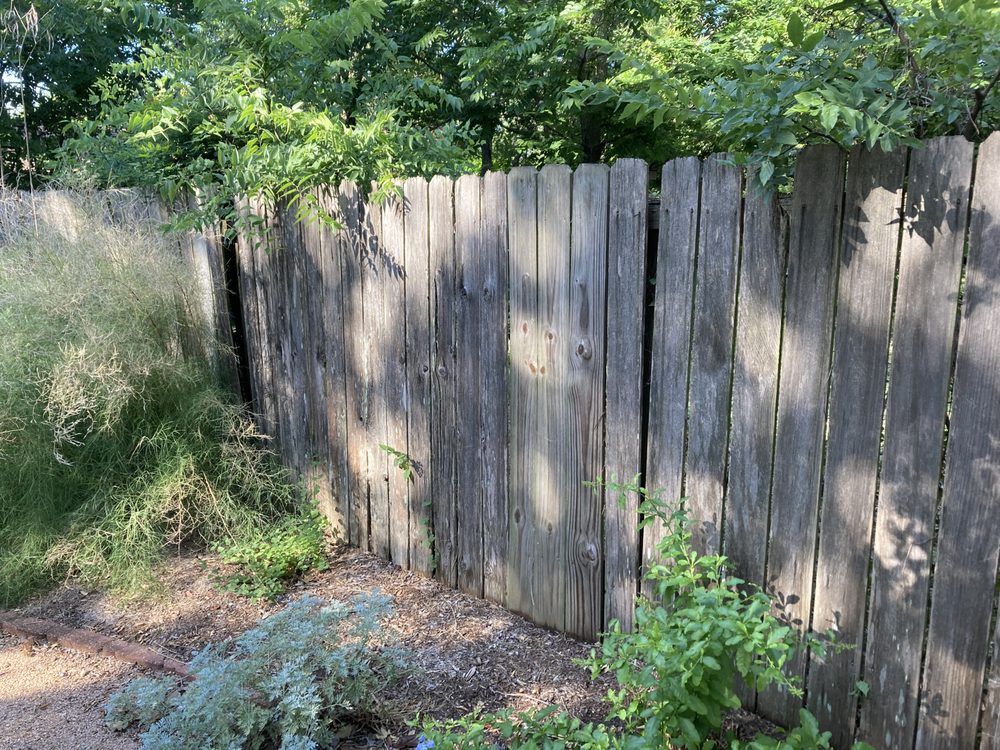 Samuel Decks & Fence
