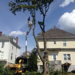 ken s tree service wilmington nc photo of kens tree service canonsburg pa united states services 223 muse bishop rd canonsburg ken s tree service wilmington nc photo of kens tree service canonsburg pa united states services 223 muse bishop rd canonsburg