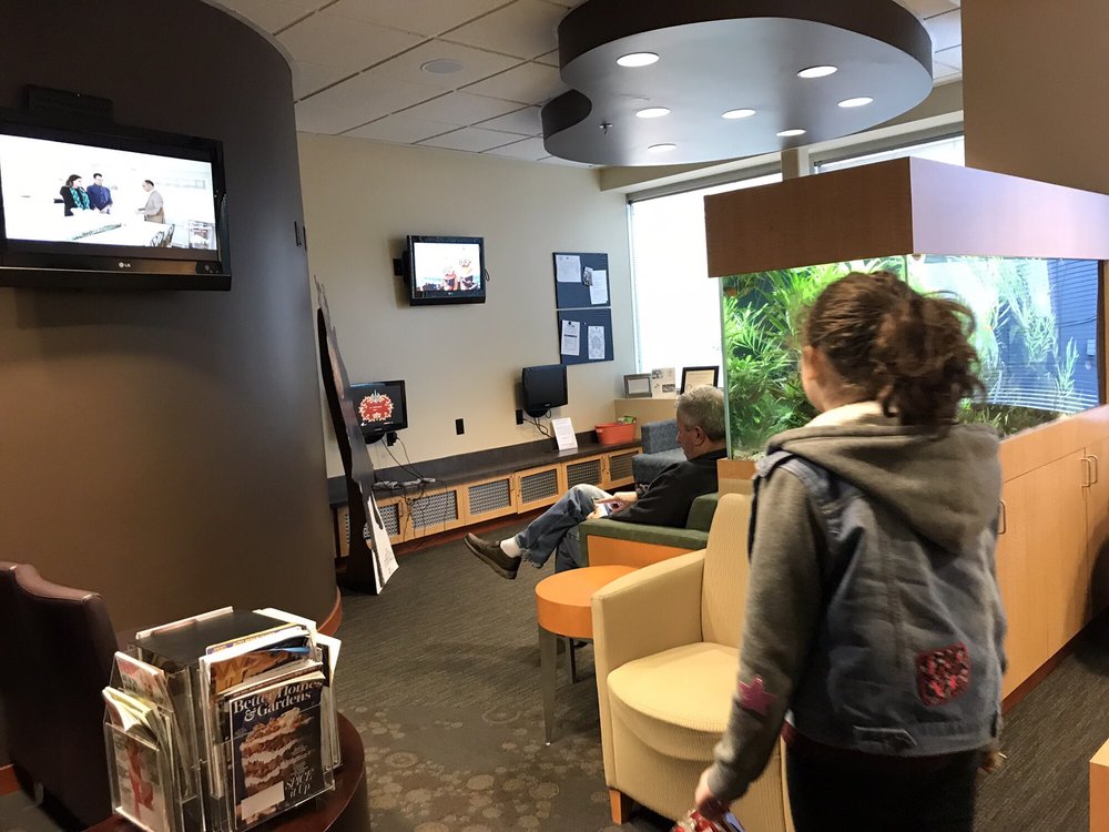 image of business Newcastle Dentistry