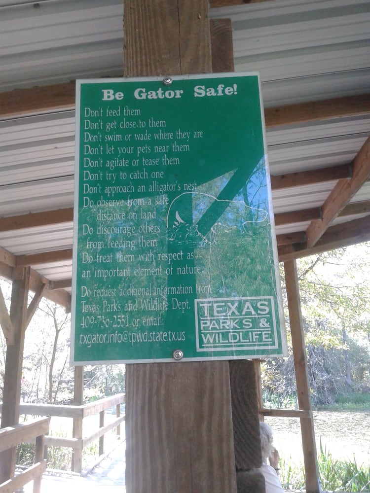 Armand Bayou Nature Center Camp Armand Bayou Nature Center Camp