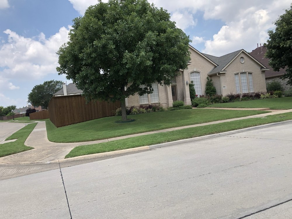 George Lawn Service