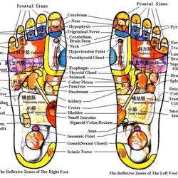 Tang Dynasty Foot Spa 43 Photos 69 Reviews Mage Therapy Photo Of Tang Dynasty Foot Spa Jacksonville Beach Fl United States
