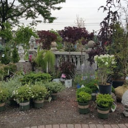 Hall S Nursery Nurseries Gardening 24300 Harper Ave Saint Photo Of Hall S Nursery Saint Clair Ss Mi United States