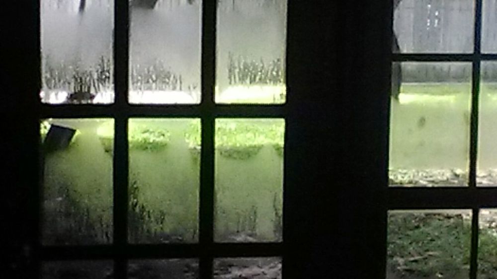 image of business My AC Guy