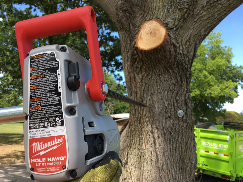 Treehugger Tree Service