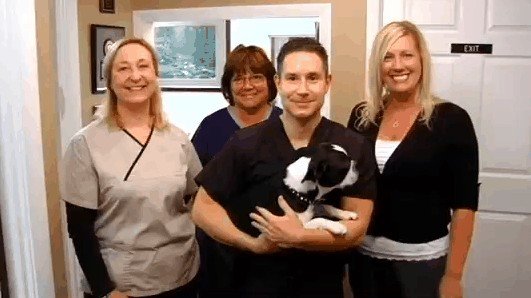 image of business David M Miraglia DDS