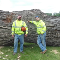 Photo of Matt's Tree Service - Stratford, SD, United States. Tree Service Stratford Tree Service Stratford Photo of Matt's Tree Service - Stratford, SD, United States.