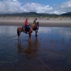 Oregon Beach Rides Horseback Riding 35705 Pacific Ave Photo Of Oregon Beach Rides Pacific City Or United States Riding On