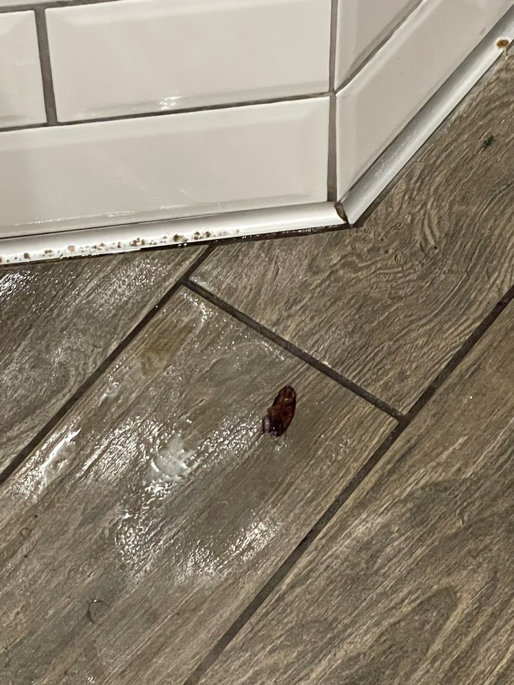 Applebee's Grill + Bar