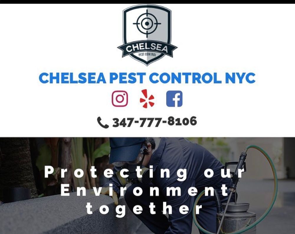Chelsea Pest Control