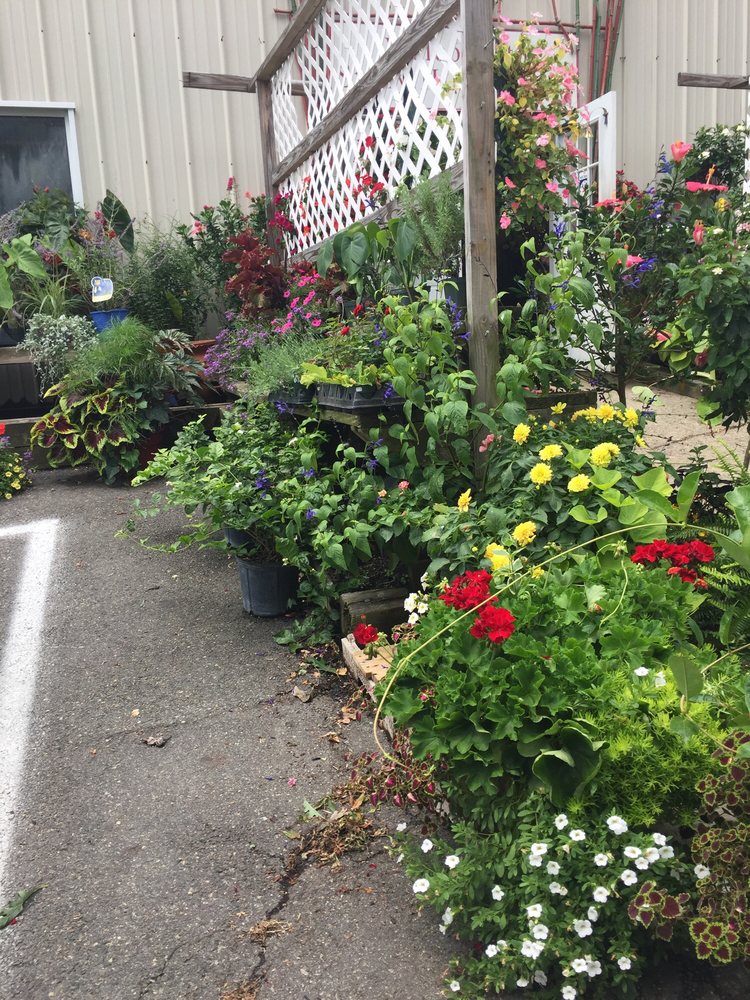 Stony Hill Gardens Florists 8 State Rt 24, Chester, NJ Phone