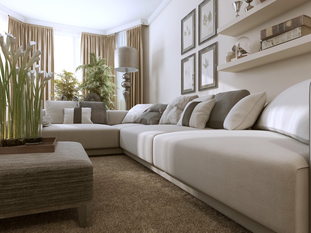 image of business Edwards Carpet 