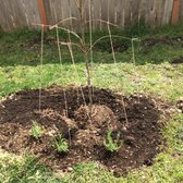 Raintree Nursery 12 Photos 22 Reviews Nurseries Gardening Photo Of Raintree Nursery Morton Wa United States This Is How I