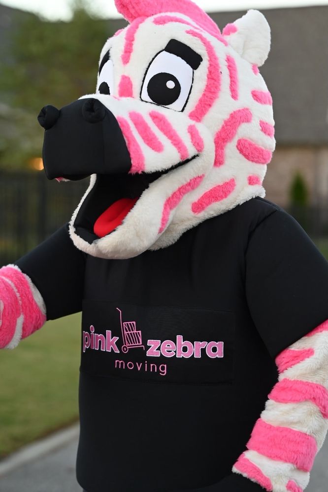 Pink Zebra Moving - Charlotte