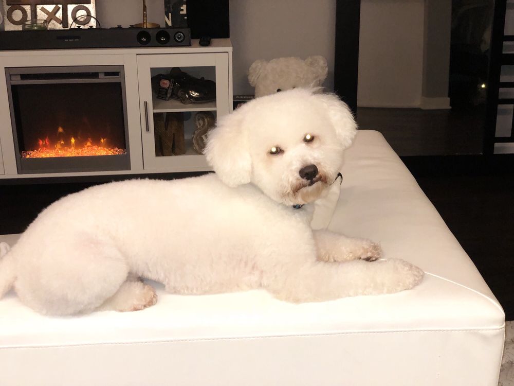 best friends grooming