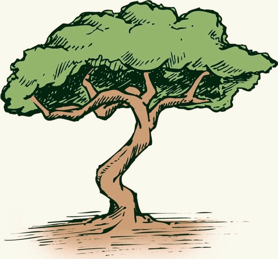 Chriso's Tree Trimming