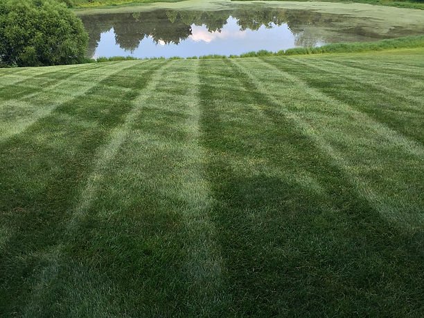 Whitehouse Lawn Care