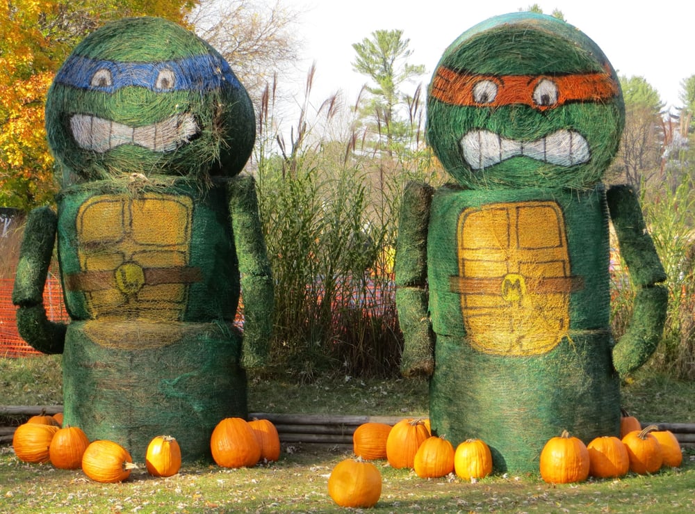 Sunnyside Gardens - 37 Photos - Nurseries & Gardening - 345 Church St