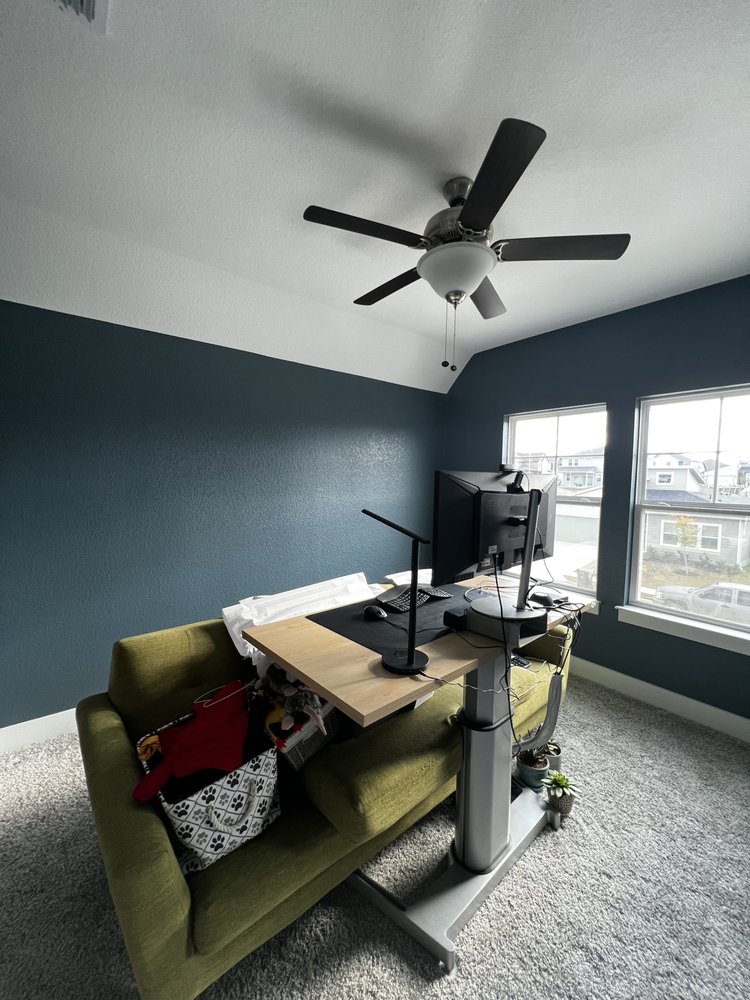 VS Pro Painting 