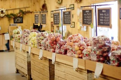 Maple Ridge Fruit Farm