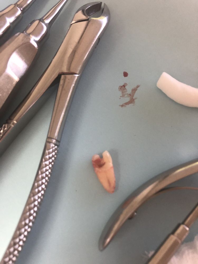 image of business Glendora Dental