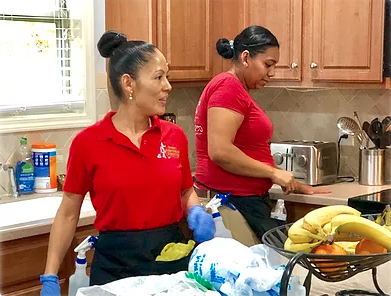 Green Alternative Cleaning