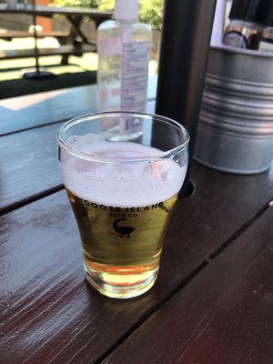 mandeville beer garden 428 n lemon ave sarasota fl holding companies mapquest - Mandeville Beer Garden mandeville beer garden 428 n lemon ave sarasota fl holding companies mapquest - Mandeville Beer Garden