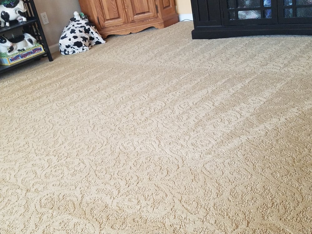 Frank’s Carpet Care 24 Reviews Carpet Cleaning Elk Grove, CA