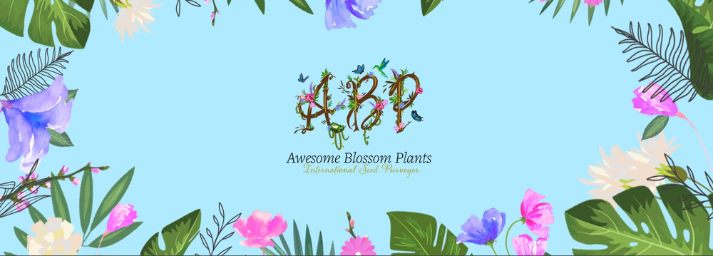 Awesome Blossom Plants
