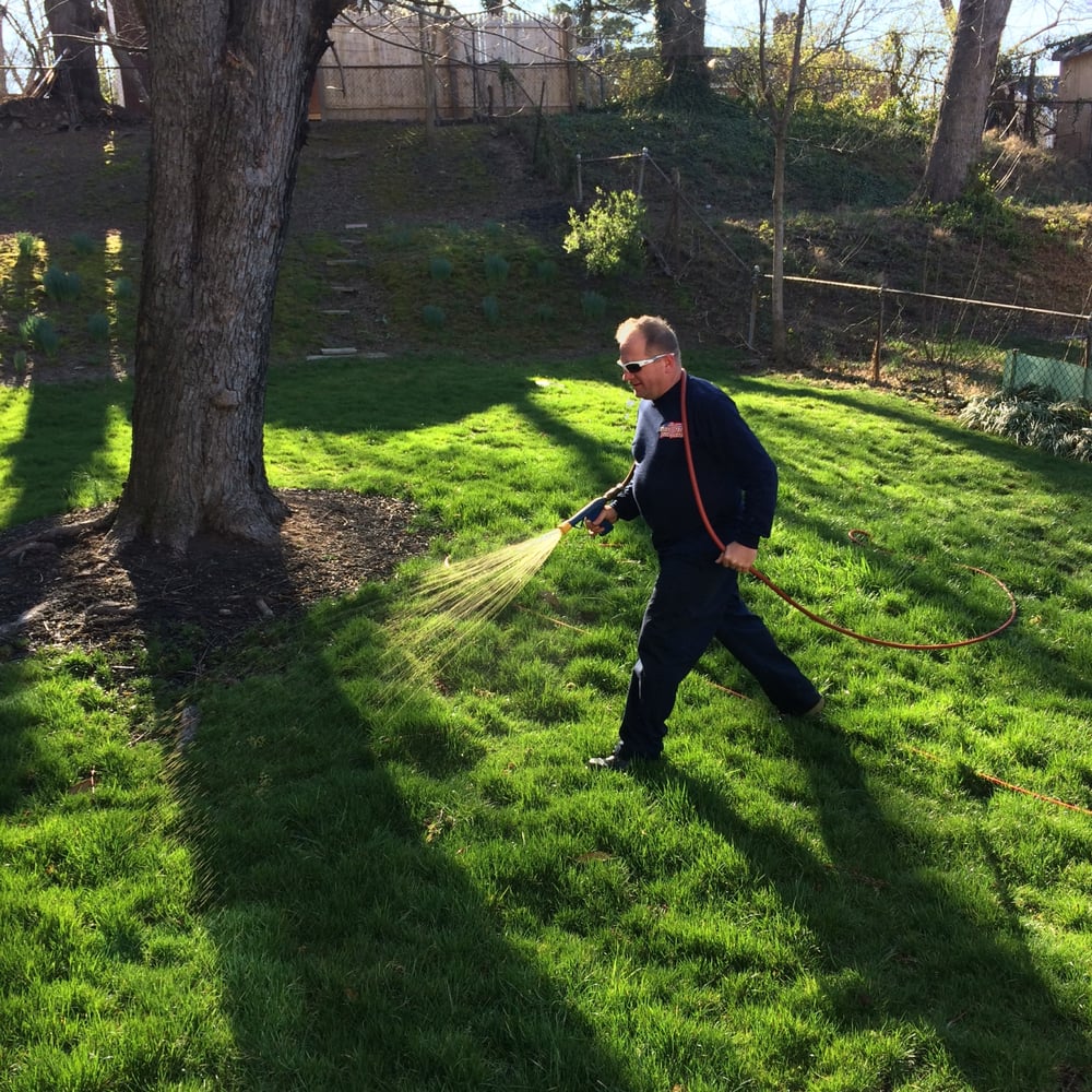 American Lawn and Tree Specialists