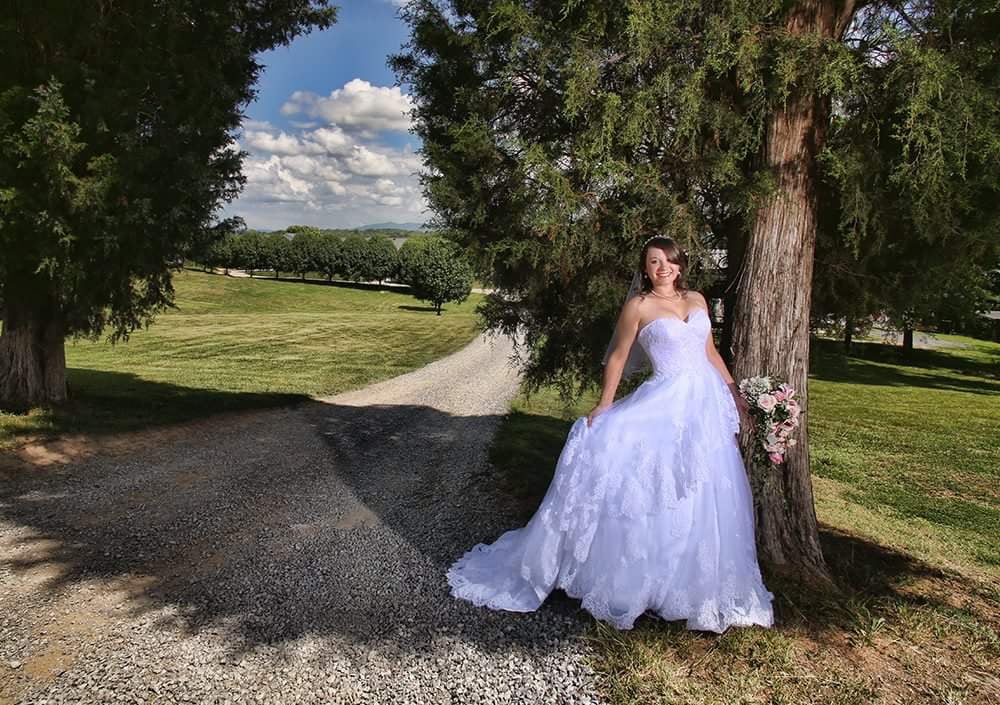 Twin Cedar Farm