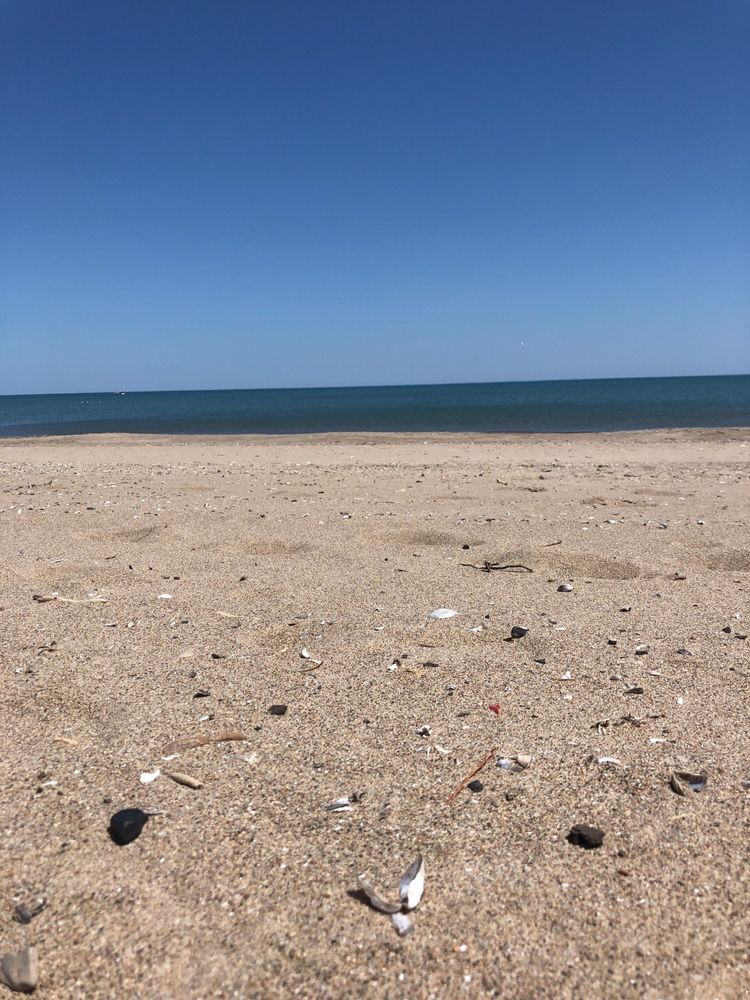 Simmons Island Beach 27 Photos Beaches 5001 Dr Simmons Island Beach 27 Photos Beaches 5001 Dr Kenosha Wi Yelp