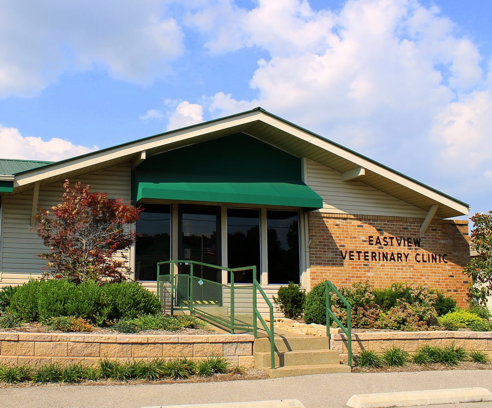 Eastview Veterinary Clinic 75 Photos Veterinarians 1993 Madison