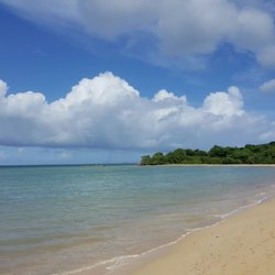 Blue Beach Bahia La Chiva 28 Photos 17 Reviews Beaches Photo Of Blue Beach Bahia La Chiva Vieques Puerto Rico