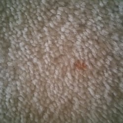 Carpet Cleaning Elgin Schaumburg Il A Ok Chem Dry Photo Of Jp Clean Algonquin Il United States