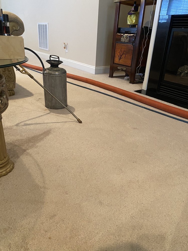 Carolina Carpet Medic