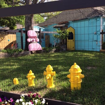 Affordable Dog Grooming Houston Tx Affordable Dog Grooming Houston Tx