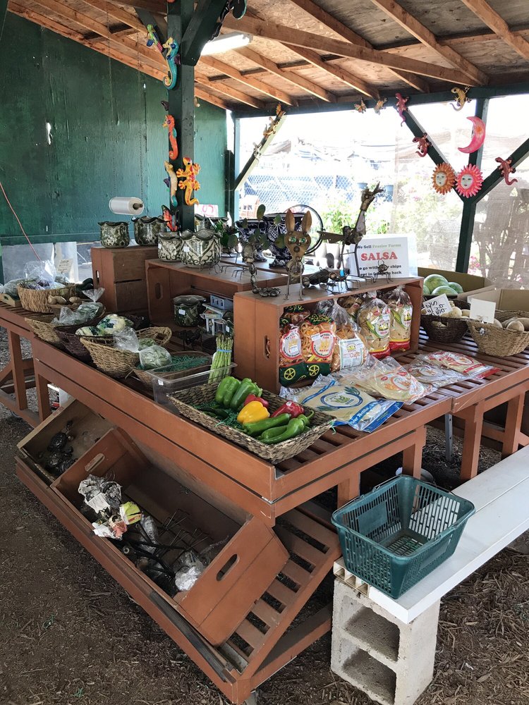 Nursery Outlet 33 Photos Fruits & Veggies 906 Buena Creek Rd, Vista, CA Phone Number Yelp