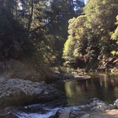 Garden Of Eden , Henry Cowell Redwoods State Park , 92
