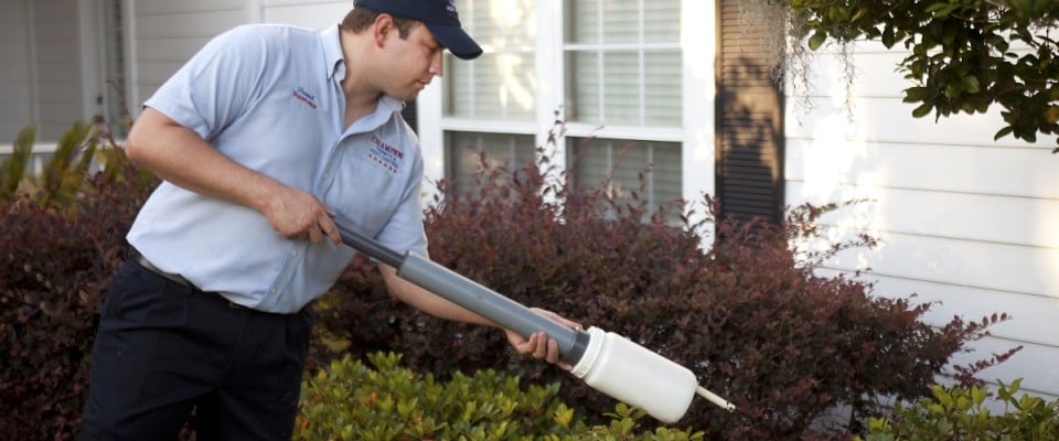 Champion Termite and Pest Control