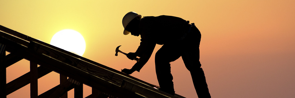 image of business Professional Roofing & Construction